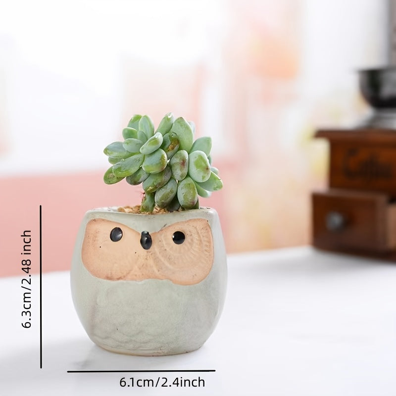 Owlish Companions Succulent Set