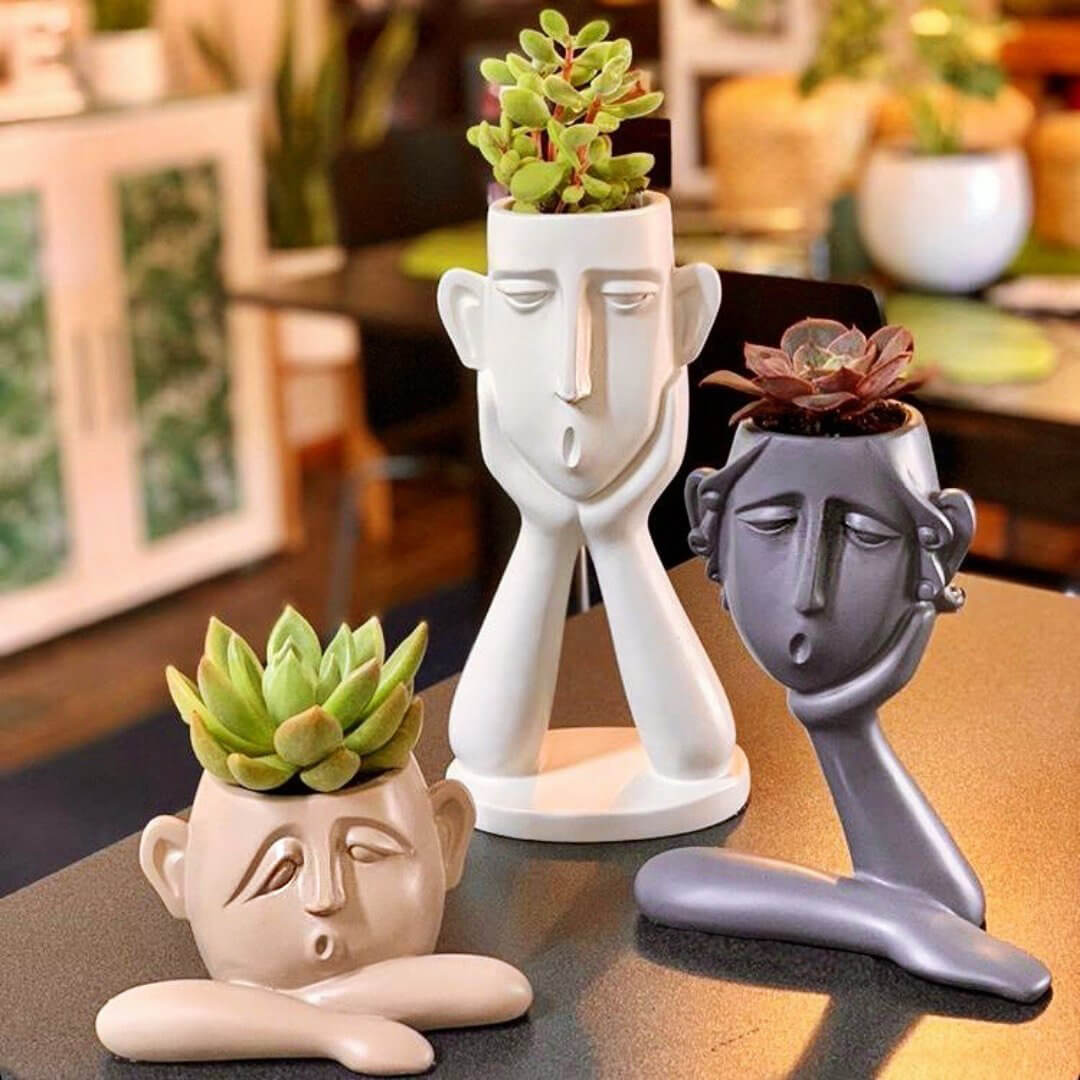 Conversational Trio Planters