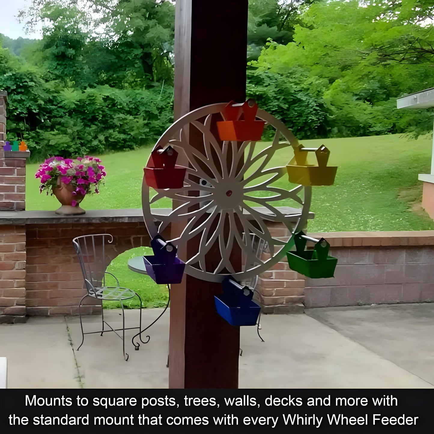 The Ferris Wheel of Fun for Your Feathered Friends